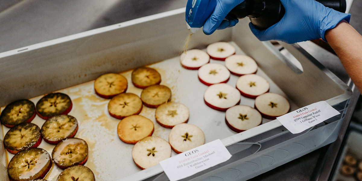 L’intelligenza artificiale nel reparto qualità di VIP